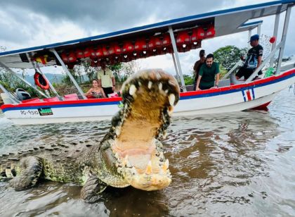 crocodile tour in costa rica