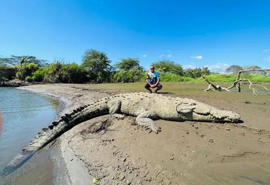 crocodile tour in costa rica